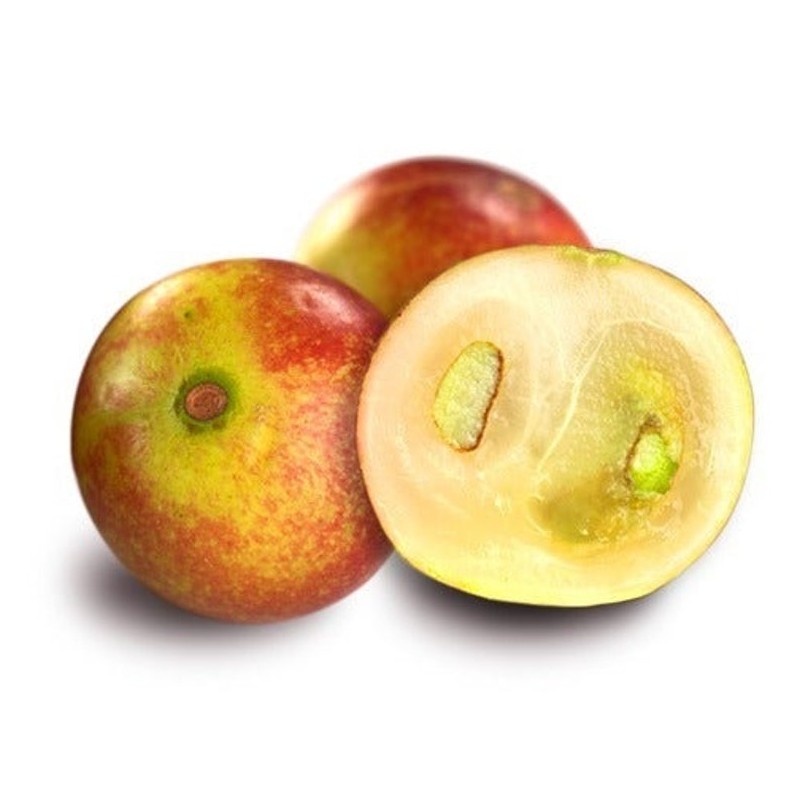 Camu Camu 500 gr