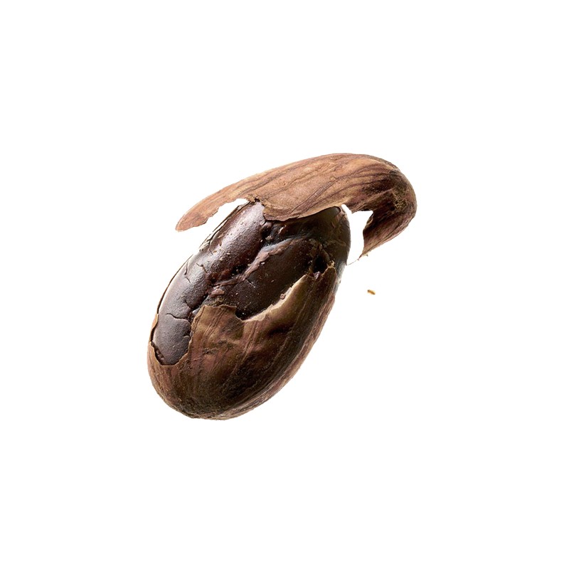 Fève de Cacao Cru Bio 1 kg