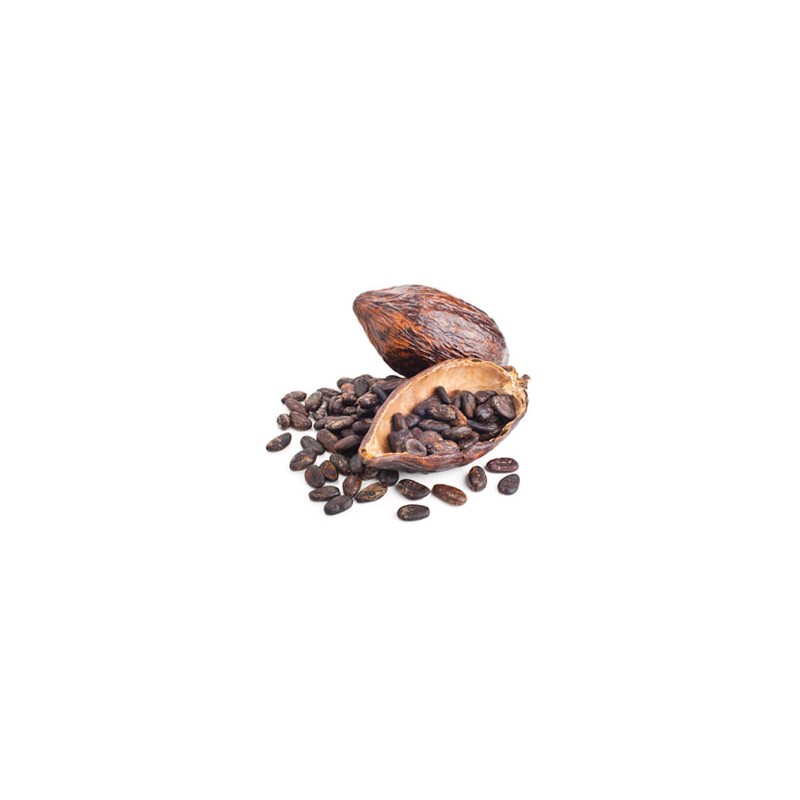 Fève de Cacao Cru Bio 1 kg